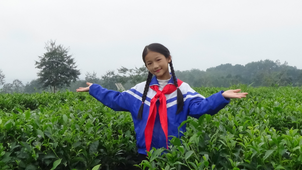 Tiểu học Hương Trà giới thiệu về tiềm năng du lịch của địa phương- Khu Check in đồi chè Nam Trà